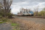 Amtrak 119 leading train 42 through Cove PA